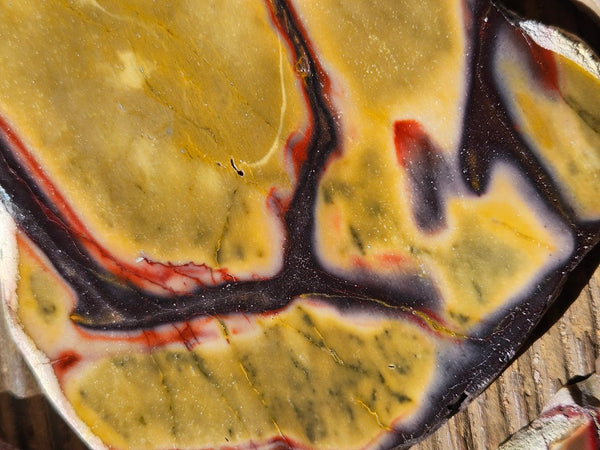 Polished Mookaite slabs MK561