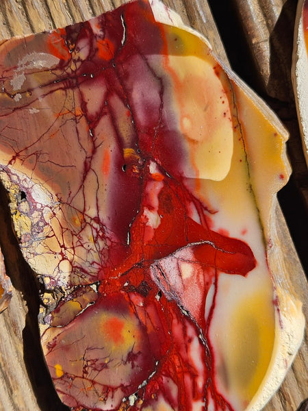 Polished Mookaite slabs MK561