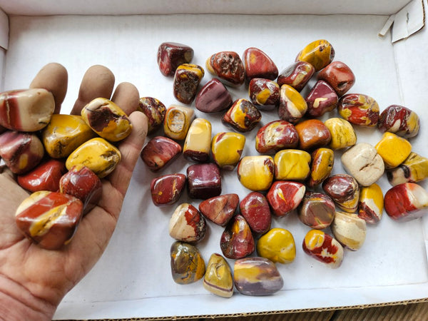 2 kg. Tumble Polished Mookaite MKT189