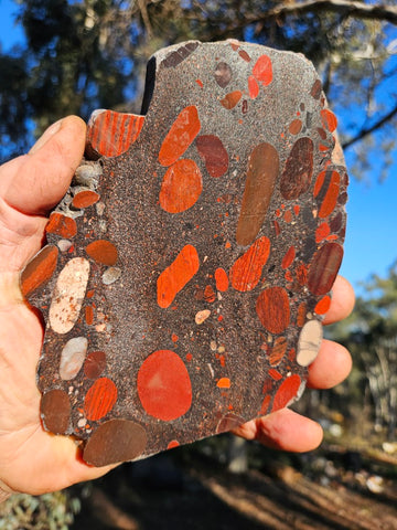 Jelly Bean Jasper polished slab JBJ353