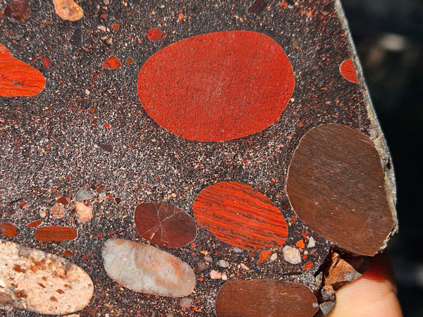 Jelly Bean Jasper polished slab JBJ353