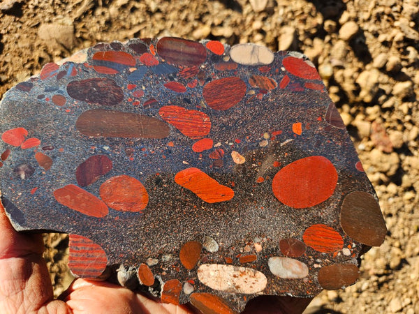 Jelly Bean Jasper polished slab JBJ353