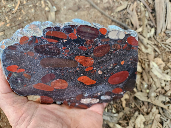 Jelly Bean Jasper polished slab JBJ353