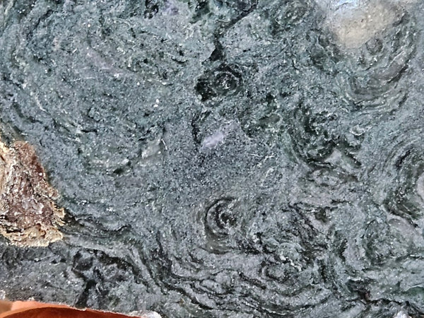 Polished fossil stromatolite. Alcheringa narrina. ALC161