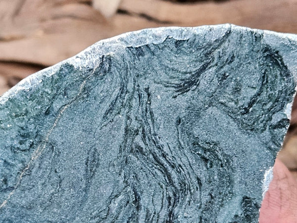 Polished fossil stromatolite. Alcheringa narrina. ALC161