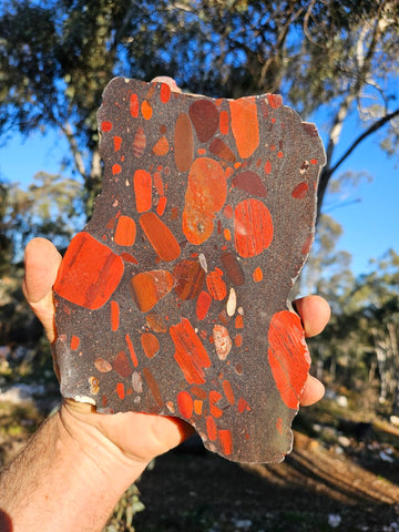 Jelly Bean Jasper polished slab JBJ354