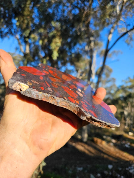 Jelly Bean Jasper polished slab JBJ354