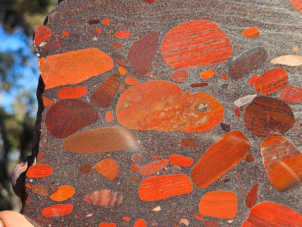 Jelly Bean Jasper polished slab JBJ354
