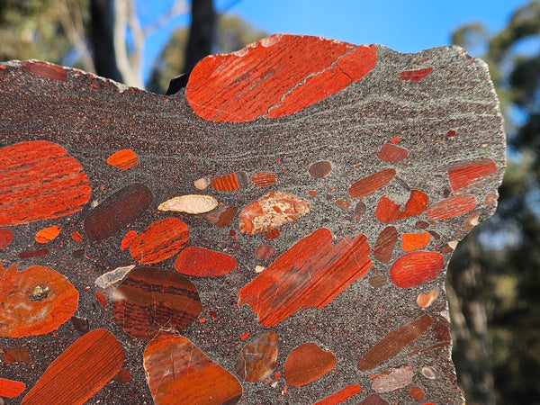 Jelly Bean Jasper polished slab JBJ354