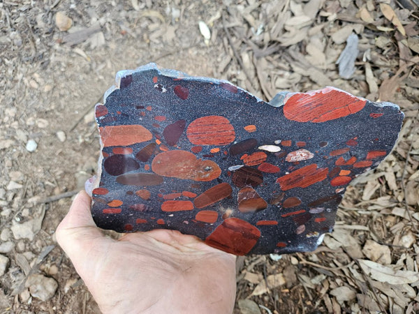 Jelly Bean Jasper polished slab JBJ354