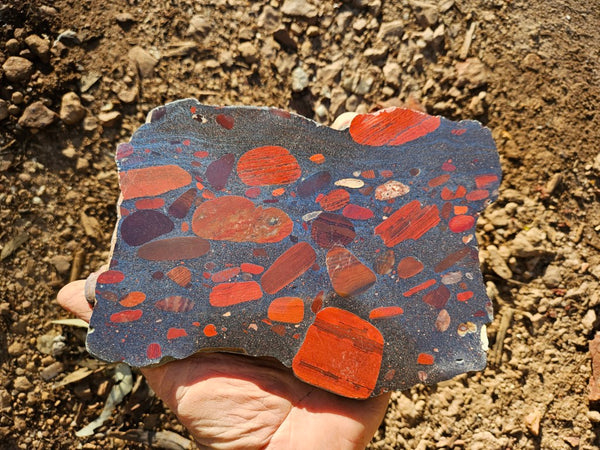 Jelly Bean Jasper polished slab JBJ354