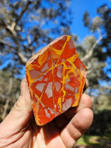 Polished Noreena Jasper. NJ492