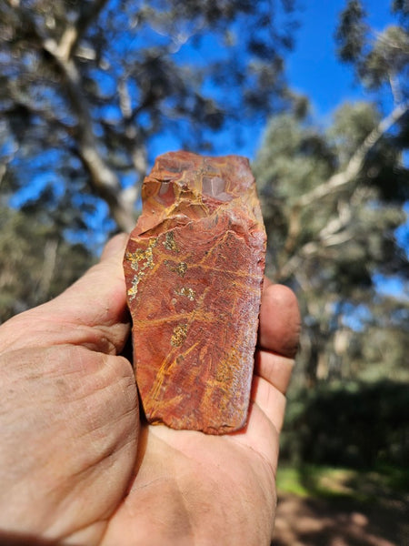 Polished Noreena Jasper. NJ492