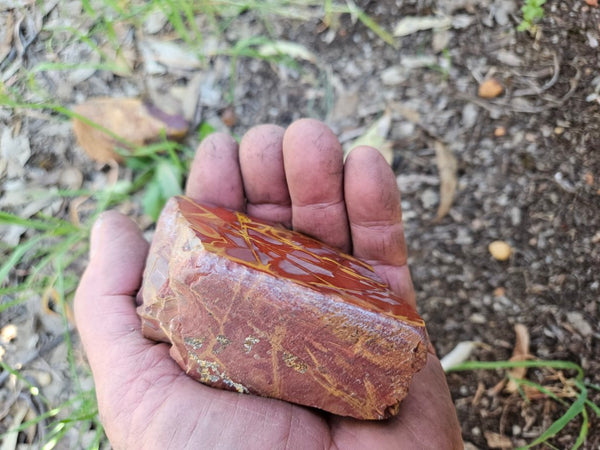 Polished Noreena Jasper. NJ492