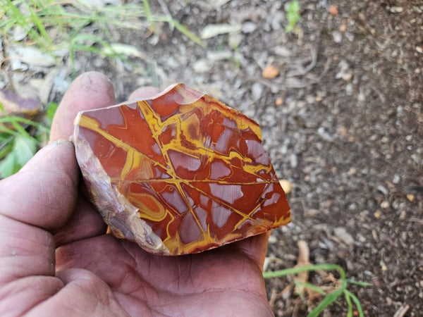 Polished Noreena Jasper. NJ492