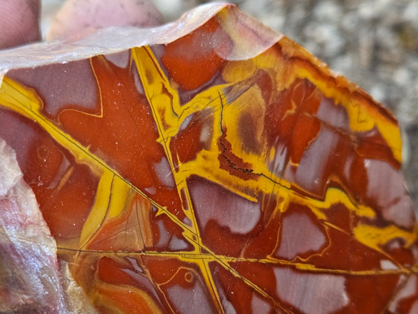 Polished Noreena Jasper. NJ492