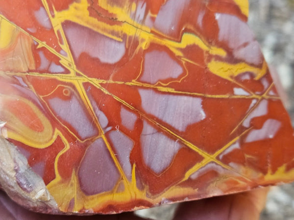 Polished Noreena Jasper. NJ492