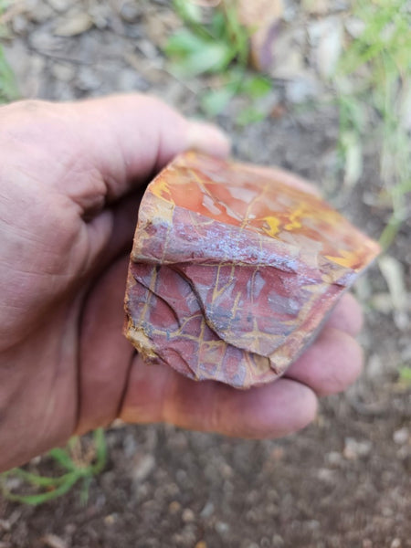 Polished Noreena Jasper. NJ492