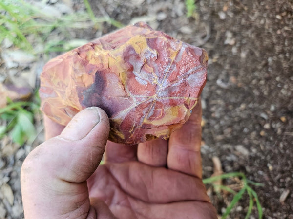Polished Noreena Jasper. NJ492