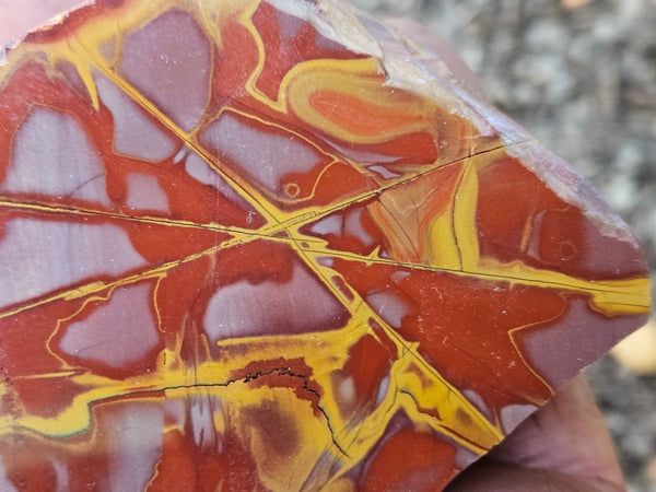 Polished Noreena Jasper. NJ492