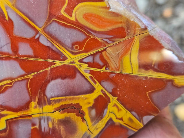Polished Noreena Jasper. NJ492