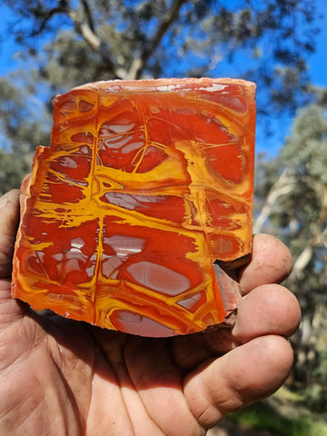 Polished Noreena Jasper slab. NJ489