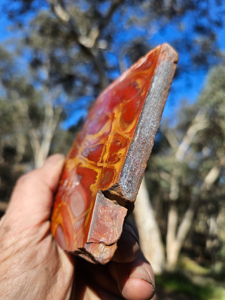 Polished Noreena Jasper slab. NJ489