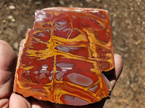 Polished Noreena Jasper slab. NJ489