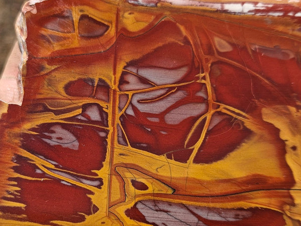 Polished Noreena Jasper slab. NJ489