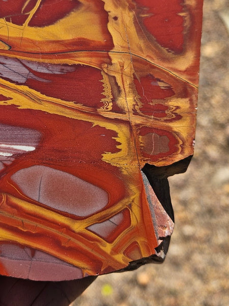 Polished Noreena Jasper slab. NJ489