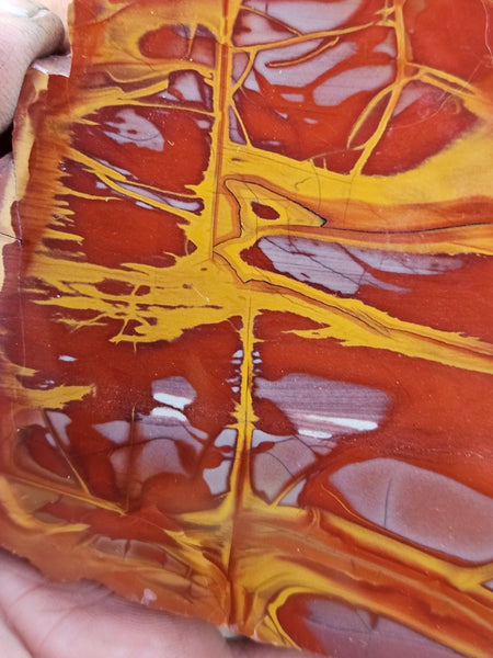 Polished Noreena Jasper slab. NJ489