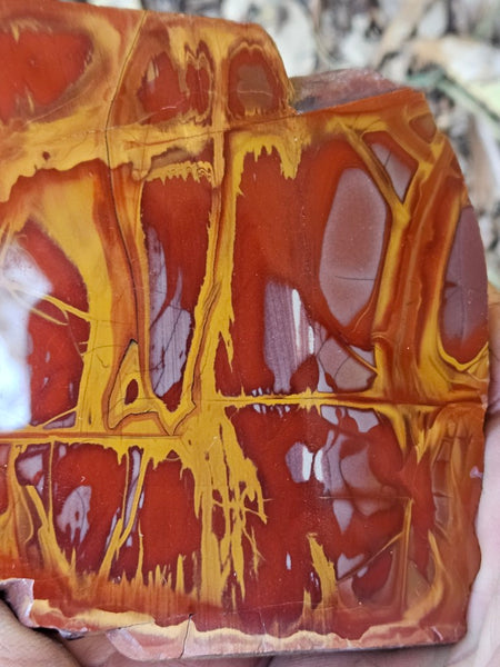 Polished Noreena Jasper slab. NJ489