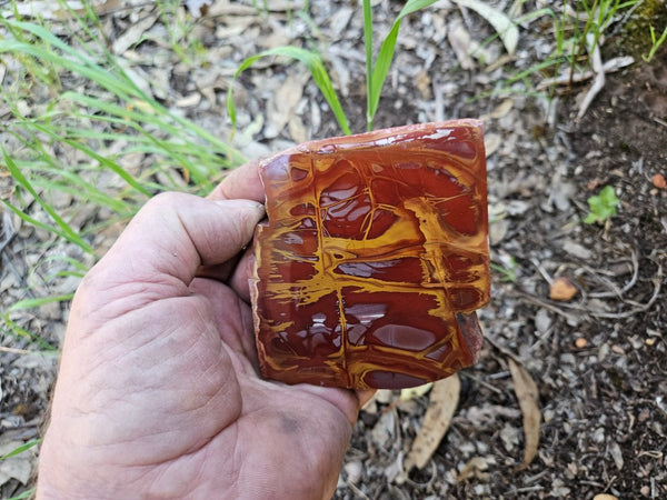 Polished Noreena Jasper slab. NJ489
