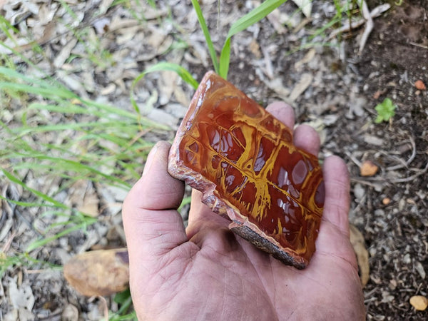 Polished Noreena Jasper slab. NJ489