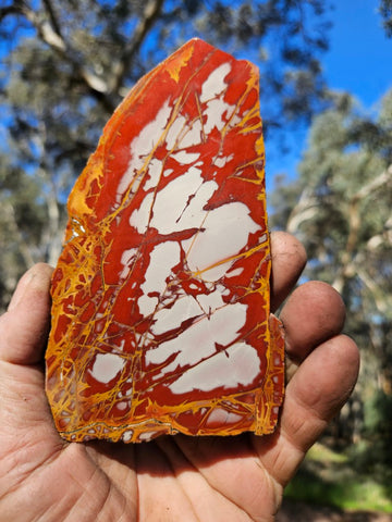 Polished Noreena Jasper slab. NJ491