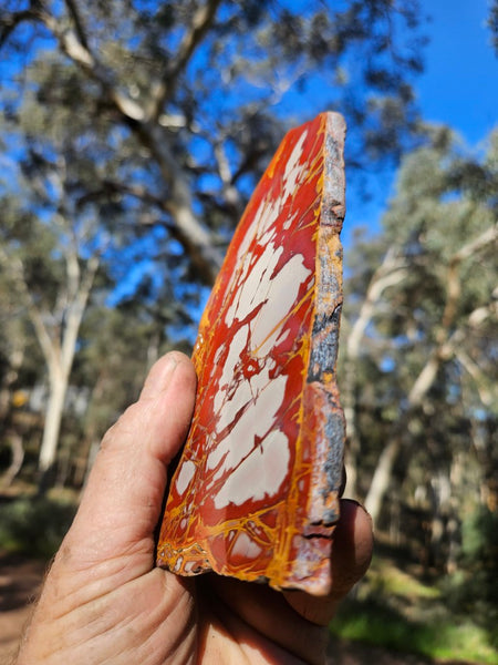 Polished Noreena Jasper slab. NJ491