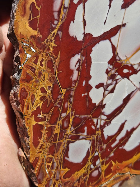Polished Noreena Jasper slab. NJ491