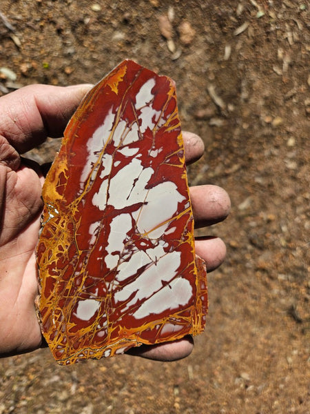 Polished Noreena Jasper slab. NJ491