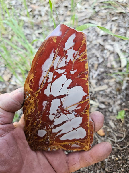 Polished Noreena Jasper slab. NJ491