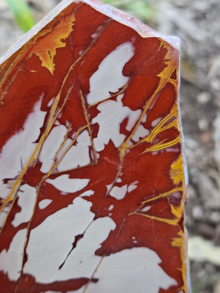 Polished Noreena Jasper slab. NJ491