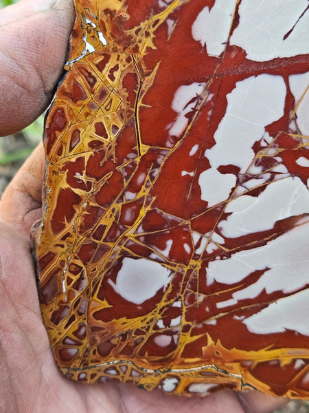 Polished Noreena Jasper slab. NJ491