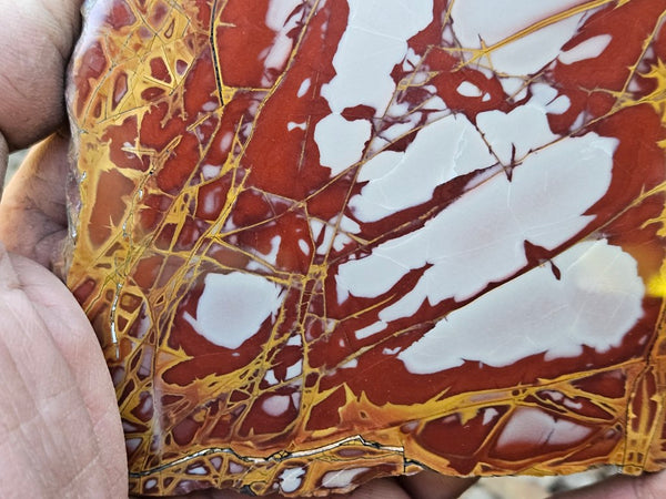 Polished Noreena Jasper slab. NJ491