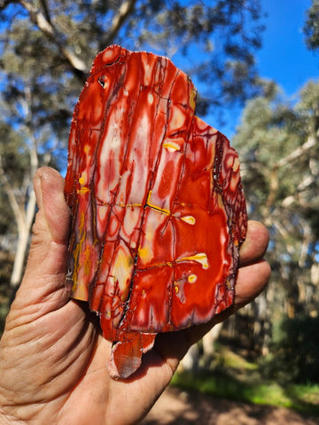Polished  Mookaite slab MK562