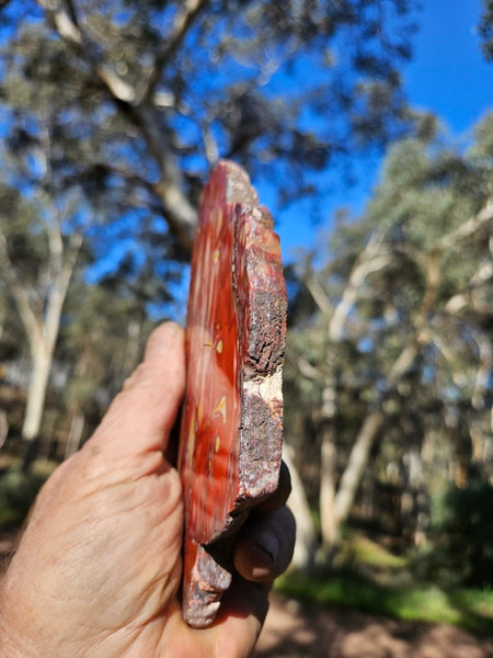 Polished  Mookaite slab MK562