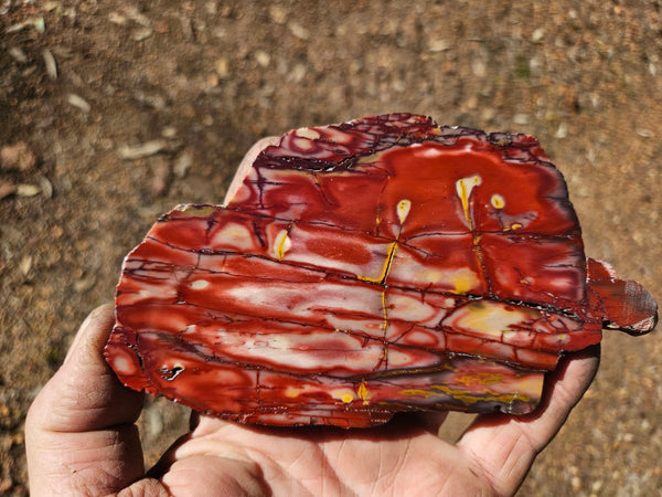 Polished  Mookaite slab MK562