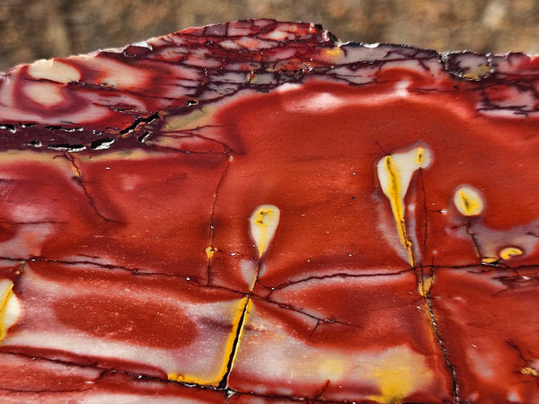 Polished  Mookaite slab MK562