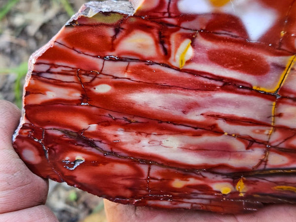 Polished  Mookaite slab MK562