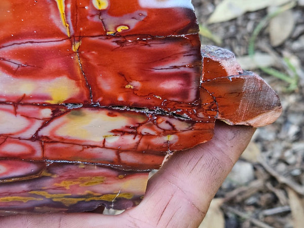 Polished  Mookaite slab MK562