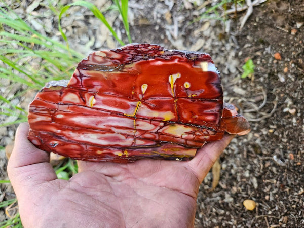 Polished  Mookaite slab MK562