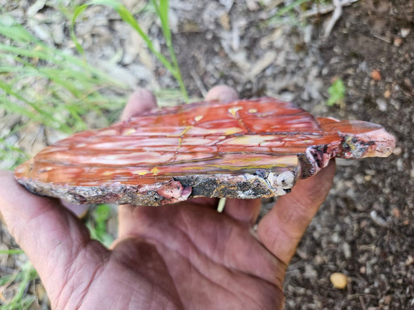 Polished  Mookaite slab MK562